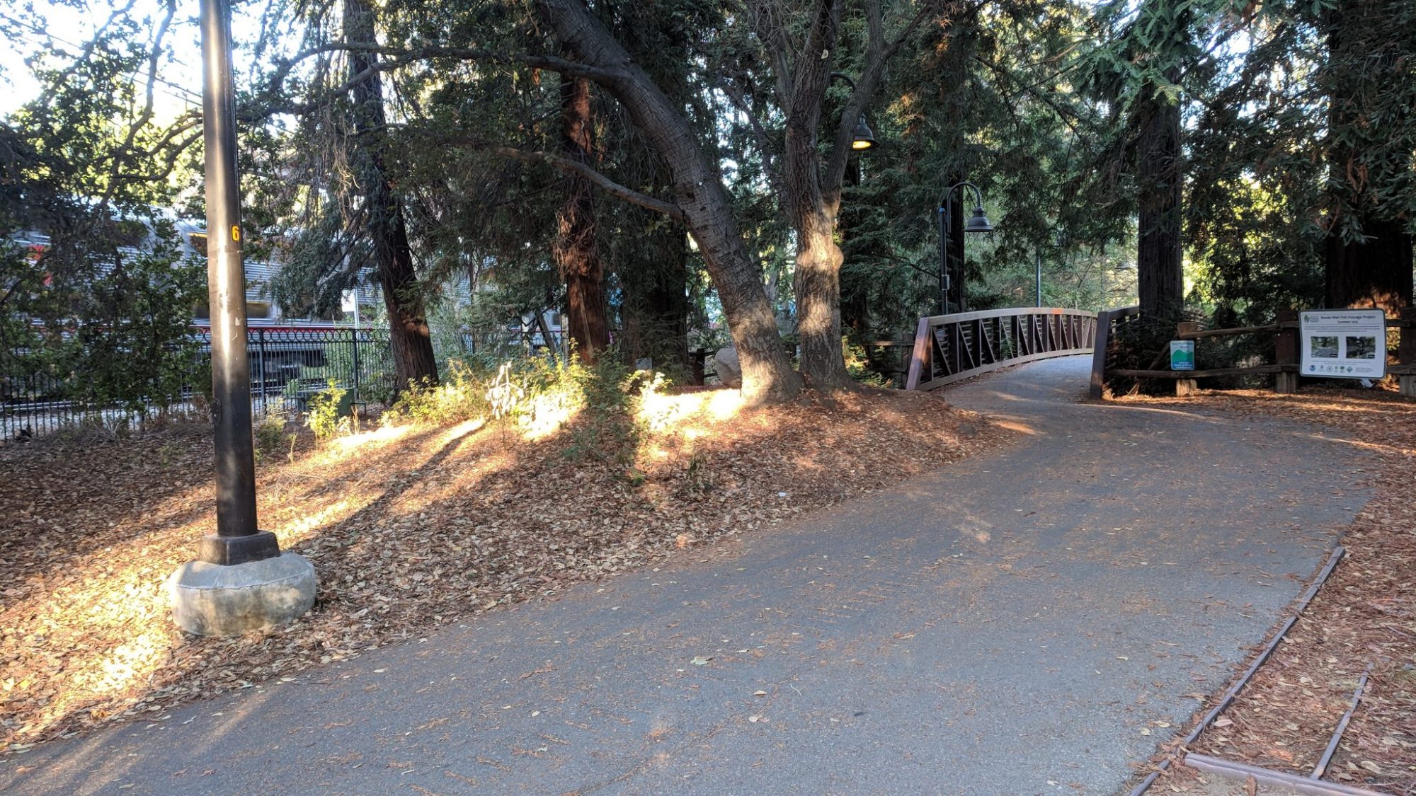 Photo of Caltrain passing the trail